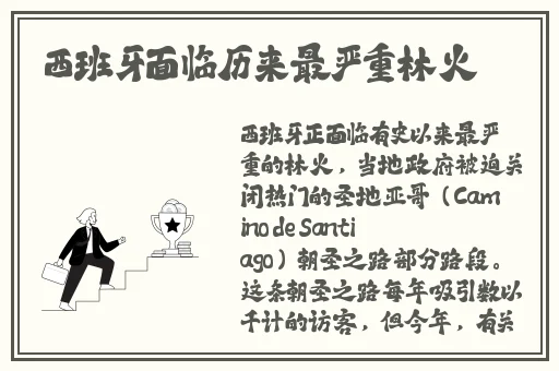 中文X站下载